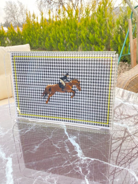 Plexi Glass Special Design Large size tray 25cmX41cm