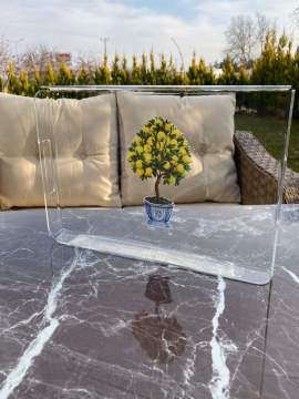 Plexi Glass Special Design Large size tray 25cmX41cm